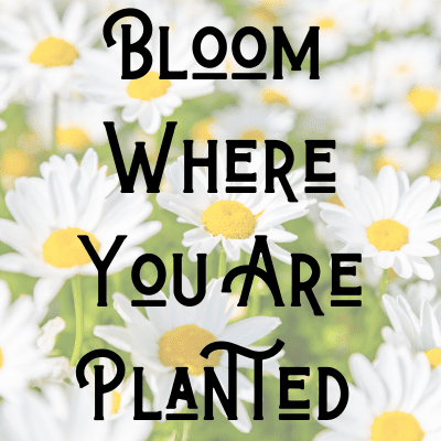 Bloom where you are planted