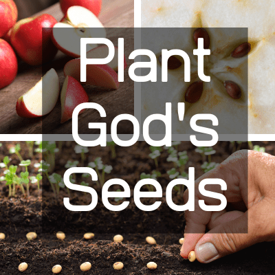 plant God's seeds weekly devotional