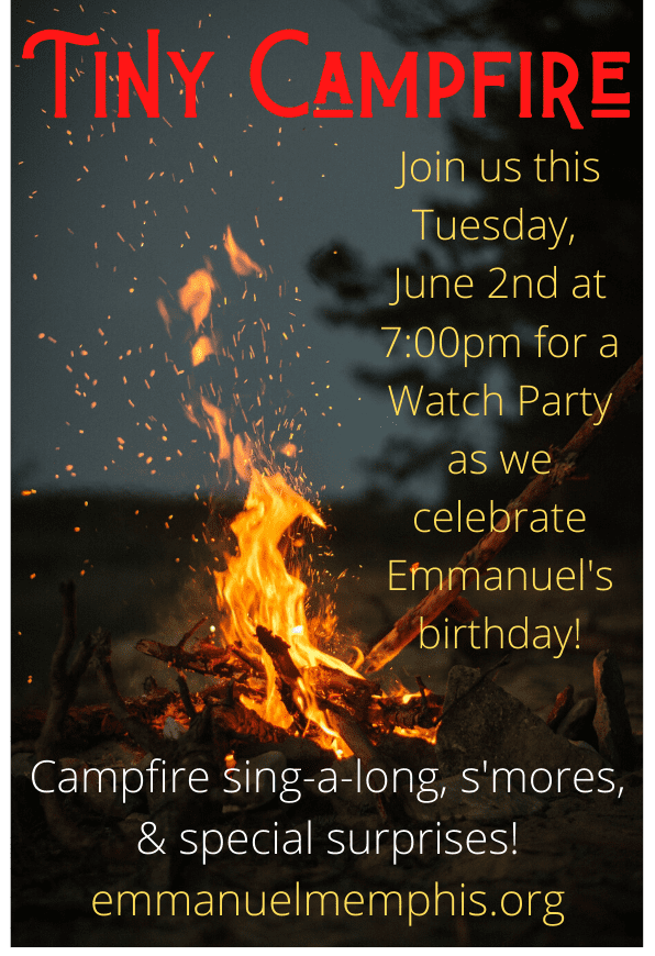tiny campfire birthday 