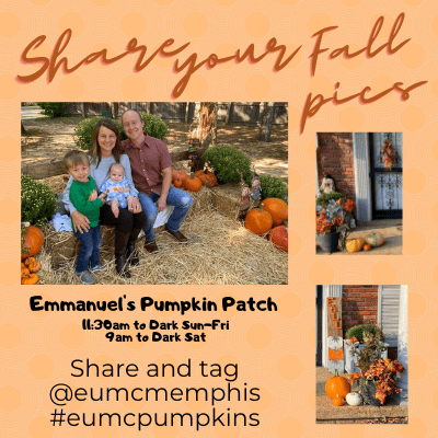 share fall pics