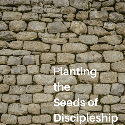 Planting the Seeds of Discipleship
