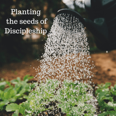 Planting the seeds of Discipleship