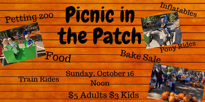 picnic in the patch