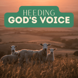 Heeding God's Voice 9-10-23