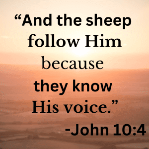 Stewardship 2023 scripture